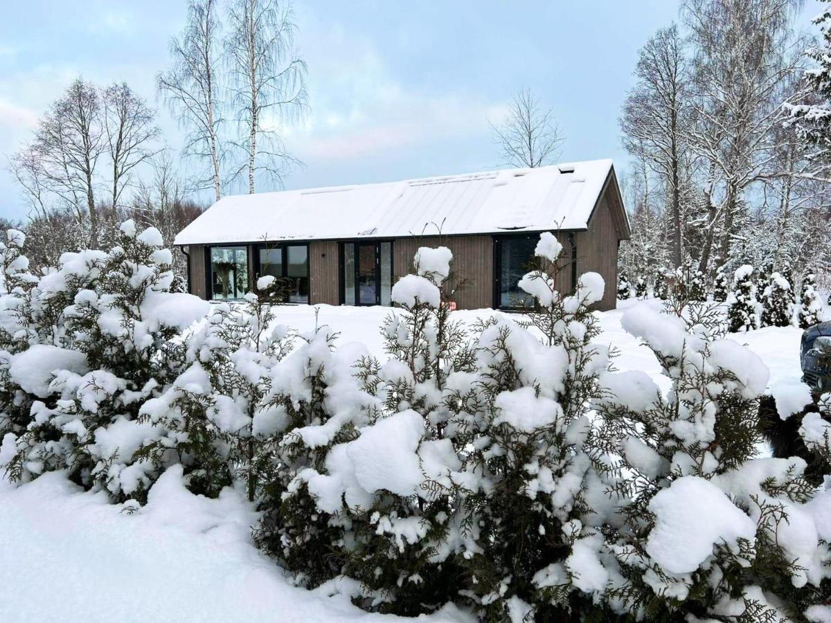 Paerli Puhkemaja / Pearl Riverside House Pudisoo 外观 照片